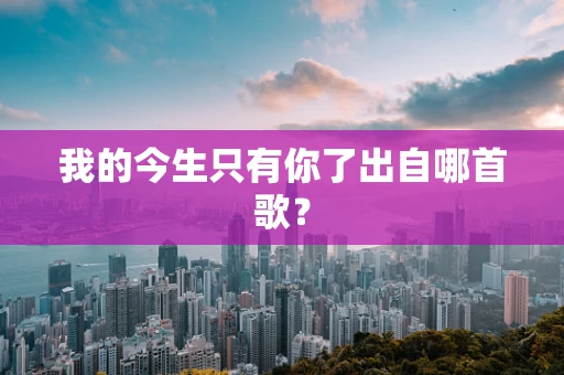 我的今生只有你了出自哪首歌？