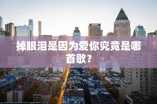 掉眼泪是因为爱你究竟是哪首歌？