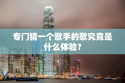 专门猜一个歌手的歌究竟是什么体验？