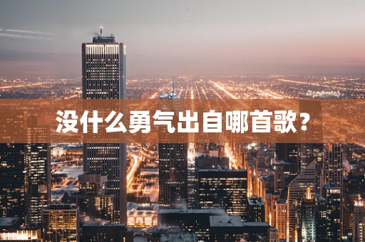 没什么勇气出自哪首歌？