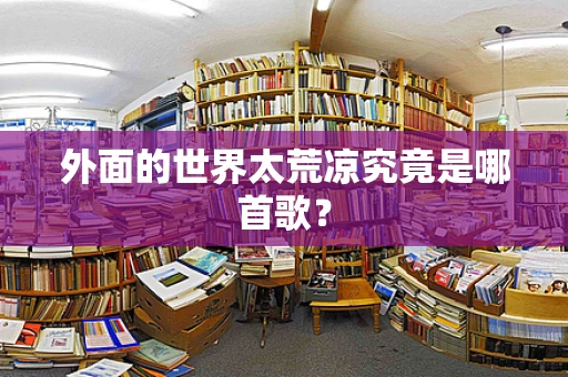 外面的世界太荒凉究竟是哪首歌？