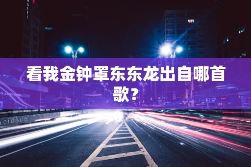 看我金钟罩东东龙出自哪首歌？
