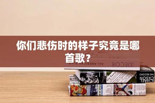你们悲伤时的样子究竟是哪首歌？