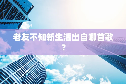 老友不知新生活出自哪首歌？