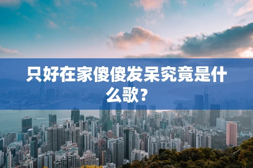 只好在家傻傻发呆究竟是什么歌？
