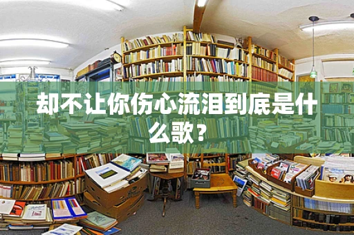 却不让你伤心流泪到底是什么歌？