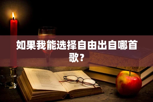 如果我能选择自由出自哪首歌？