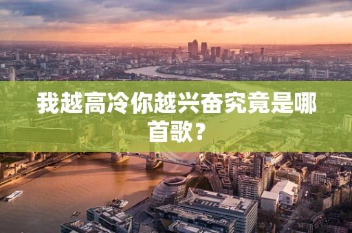 我越高冷你越兴奋究竟是哪首歌？