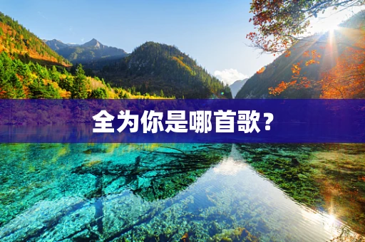 全为你是哪首歌？