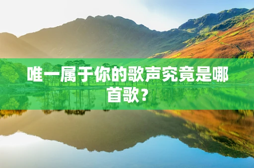 唯一属于你的歌声究竟是哪首歌？