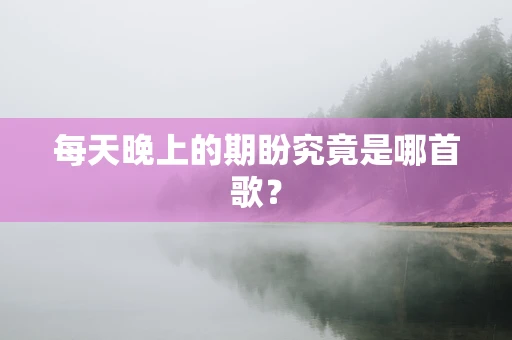 每天晚上的期盼究竟是哪首歌？