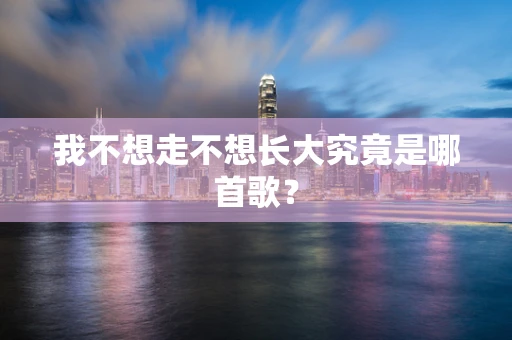 我不想走不想长大究竟是哪首歌？