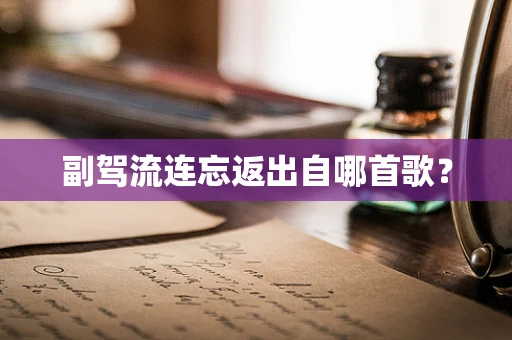 副驾流连忘返出自哪首歌？