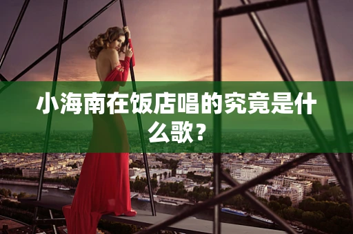 小海南在饭店唱的究竟是什么歌？