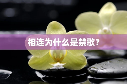 相连为什么是禁歌？