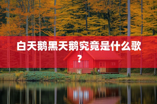白天鹅黑天鹅究竟是什么歌？