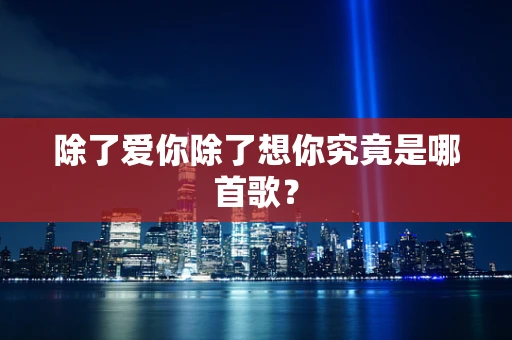 除了爱你除了想你究竟是哪首歌？