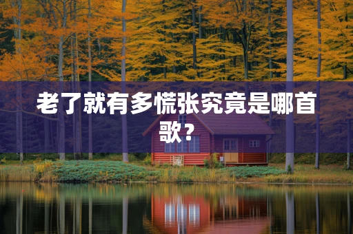 老了就有多慌张究竟是哪首歌？