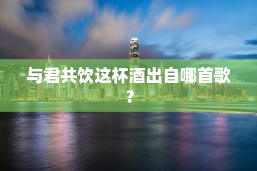 与君共饮这杯酒出自哪首歌？