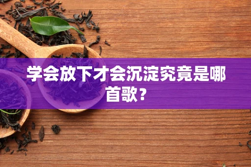 学会放下才会沉淀究竟是哪首歌？