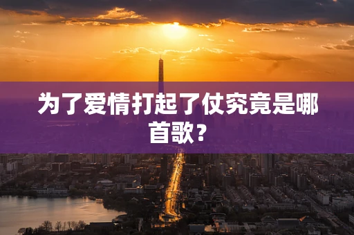 为了爱情打起了仗究竟是哪首歌？