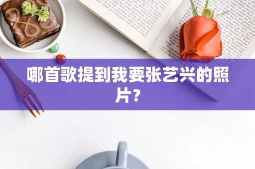 哪首歌提到我要张艺兴的照片？
