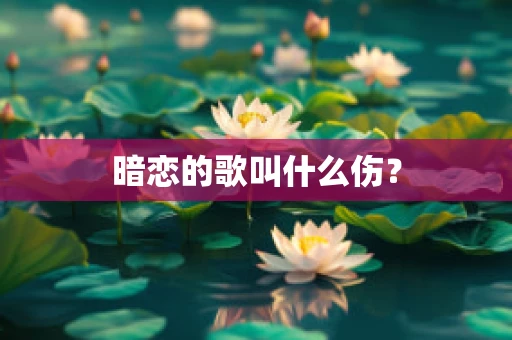暗恋的歌叫什么伤？