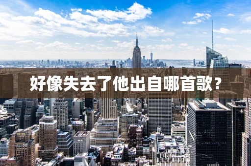 好像失去了他出自哪首歌？