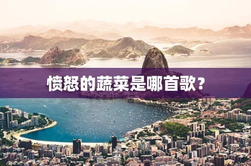 愤怒的蔬菜是哪首歌？