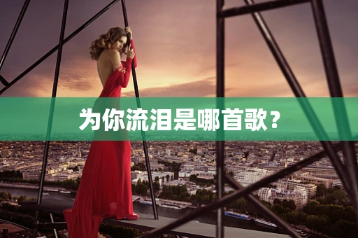 为你流泪是哪首歌？