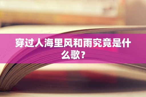 穿过人海里风和雨究竟是什么歌？