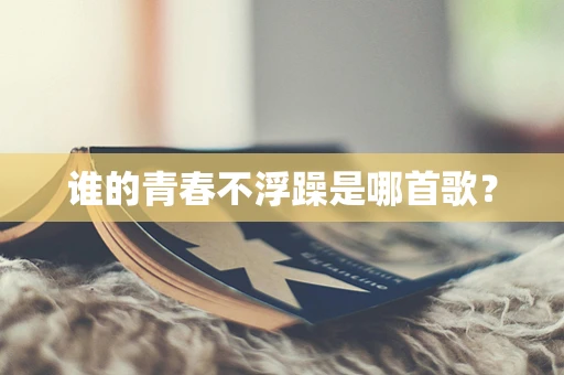 谁的青春不浮躁是哪首歌？