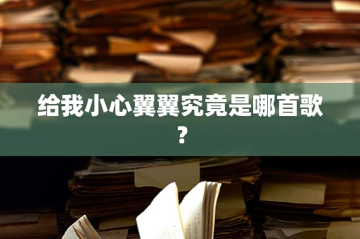 给我小心翼翼究竟是哪首歌？