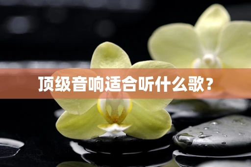 顶级音响适合听什么歌？