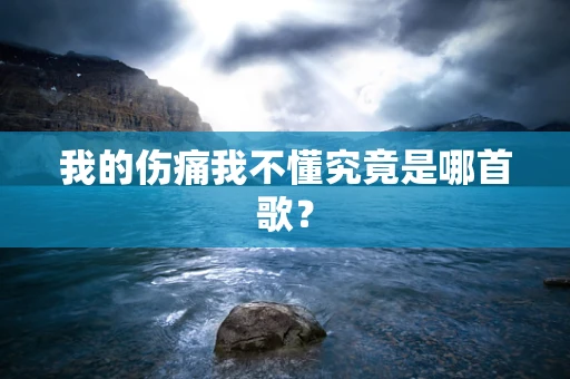 我的伤痛我不懂究竟是哪首歌？
