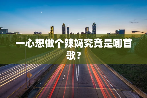 一心想做个辣妈究竟是哪首歌？