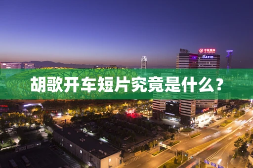 胡歌开车短片究竟是什么？