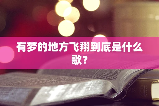 有梦的地方飞翔到底是什么歌？
