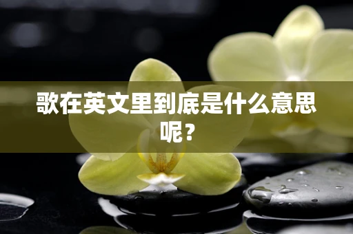 歌在英文里到底是什么意思呢？