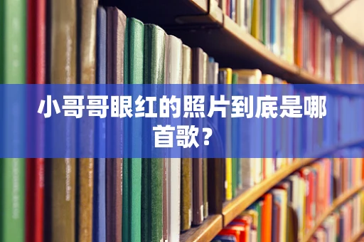 小哥哥眼红的照片到底是哪首歌？