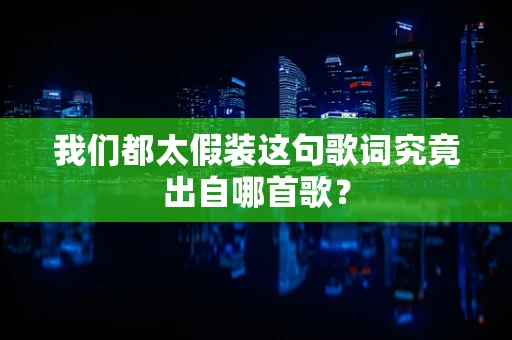 我们都太假装这句歌词究竟出自哪首歌？