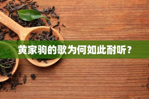 黄家驹的歌为何如此耐听？