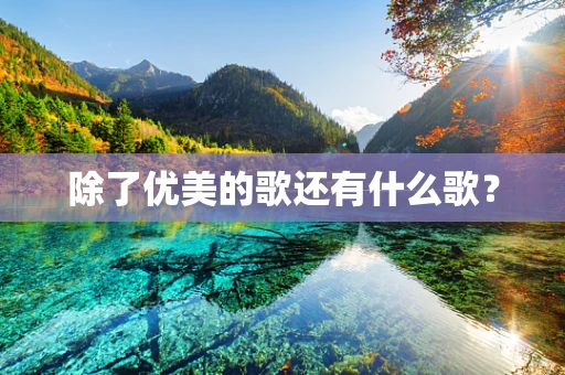 除了优美的歌还有什么歌？
