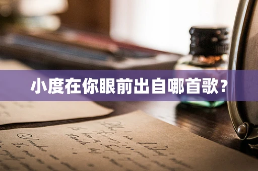 小度在你眼前出自哪首歌？