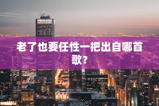 老了也要任性一把出自哪首歌？