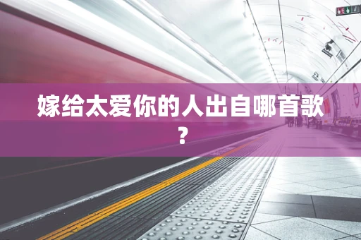 嫁给太爱你的人出自哪首歌？