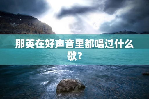 那英在好声音里都唱过什么歌？