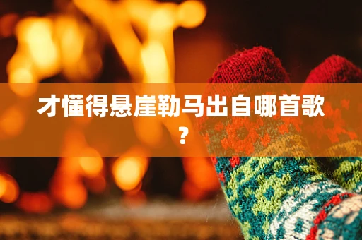 才懂得悬崖勒马出自哪首歌？