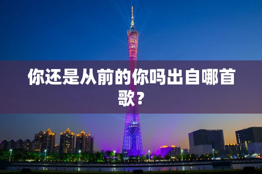 你还是从前的你吗出自哪首歌？