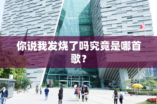 你说我发烧了吗究竟是哪首歌？
